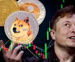 فاش شدن رازی از شیبا و دوج کوین؛ارزی که ایلان  ماسک را زمین زد؟