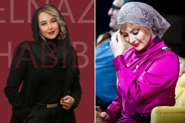 elnaz habibi shayanews