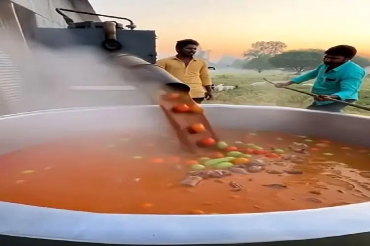 دامداری نوین؛ بزها رو بدون کز دادن با گوجه و سیب زمینی انداختن تنور یه دیگ آبگوشت شد