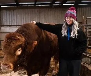 فرآوری گاو؛ گاو نر غول پیکر عاشق این خانومی که بزرگش کرده