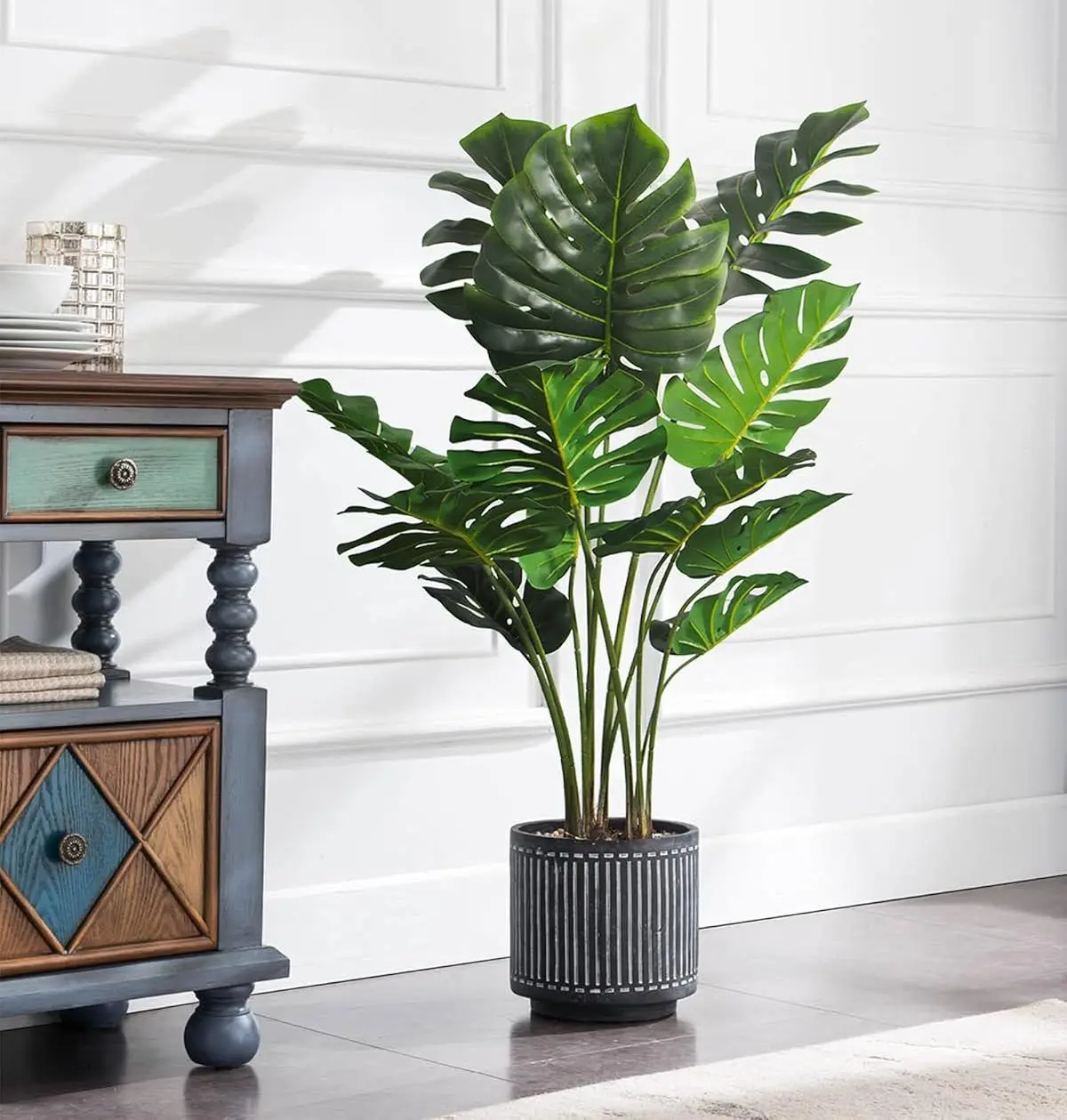 monstera-prop-6