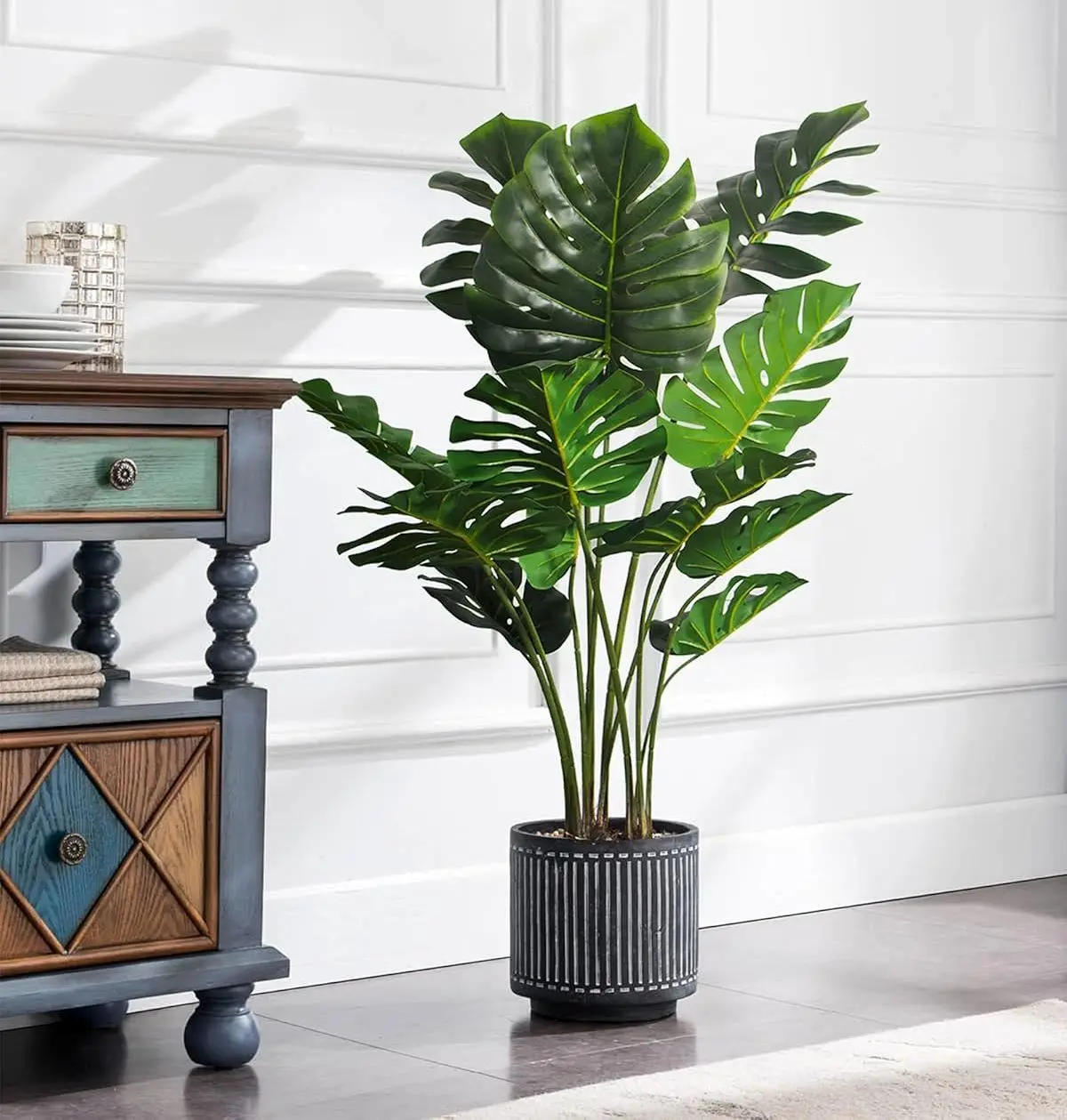 monstera-prop-6