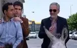 سکانس خندان؛ خر سواری هوتن شکیبا و بیژن بنفشه خواه/ قرار بود شاهزاده سوار بر اسب باشن سکانس خندان؛ خر سواری هوتن شکیبا و بیژن بنفشه خواه/ قرار بود شاهزاده سوار بر اسب باشن