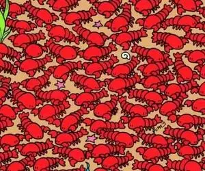 بازی فکری؛ کسانی که مغز و چشم تیزی دارن میتونن4 خرچنگ‌ بین 10000 لابستر پیدا کنن