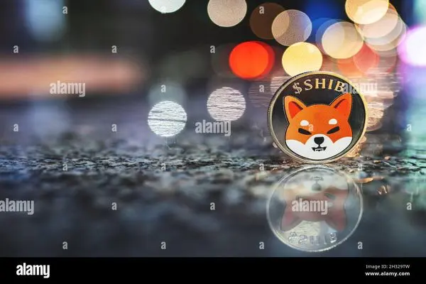 SHIBAINU