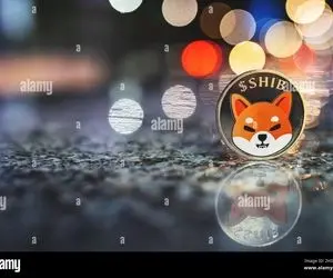 آیا واقعاً شیبا اینو مورد حمایت تیم درپر است؟