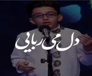 آواز همایونی؛ با این آهنگ که پسرک کم سن با صدا بهشتی خوند یاد استاد شجریان زنده شد