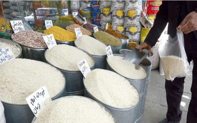 برنج جاسمین و هومالی جای طارم ایرانی می‌شوند؟
