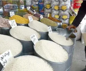 برنج جاسمین و هومالی جای طارم ایرانی می‌شوند؟