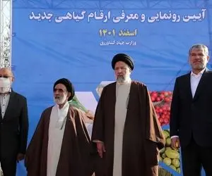 رئیسی: هر ایرانی باید سه نهال بکارد 