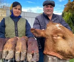 غذای قفقازی ؛ بار گذاشتن جذاب و متفاوت کله پاچه یه گاو خیلی گنده به سبک قفقازی