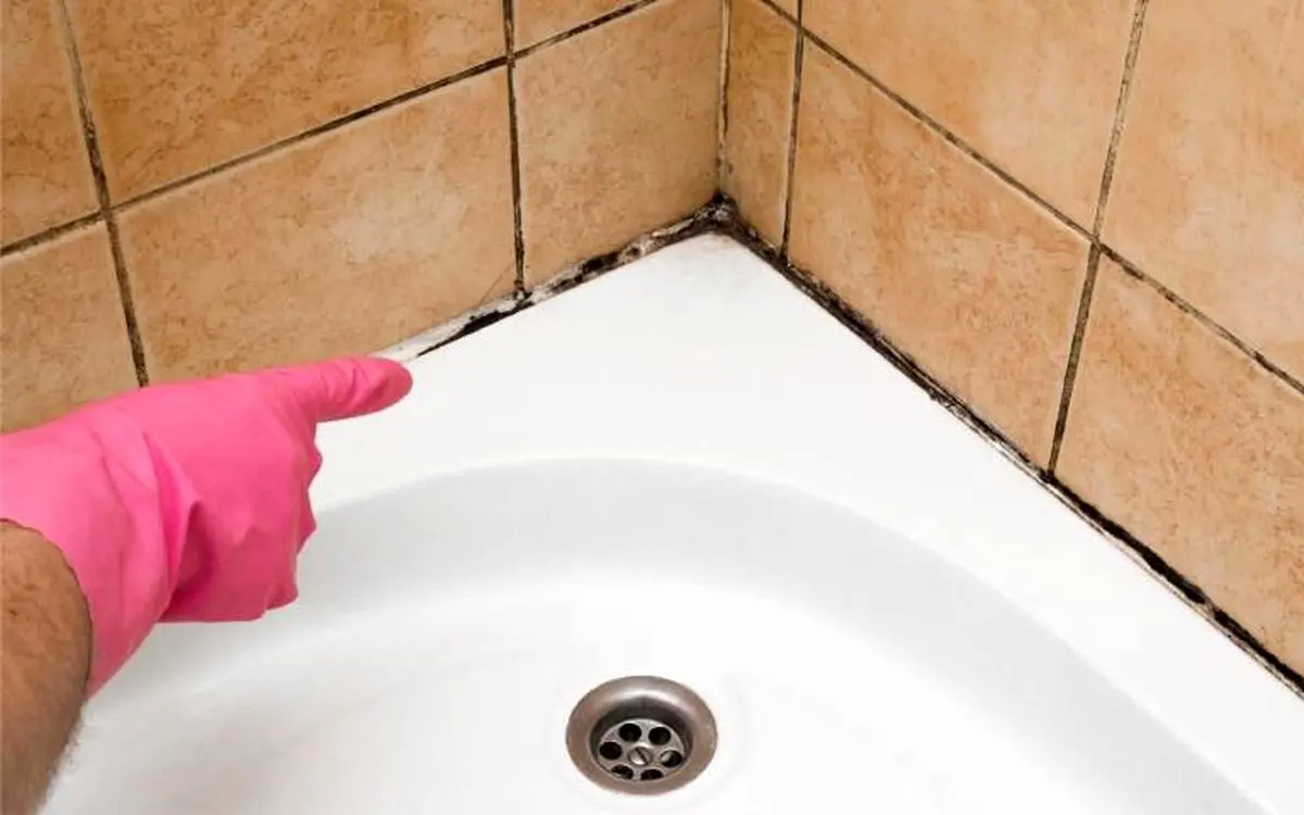 Fungus-and-mold-in-the-bathroom-2