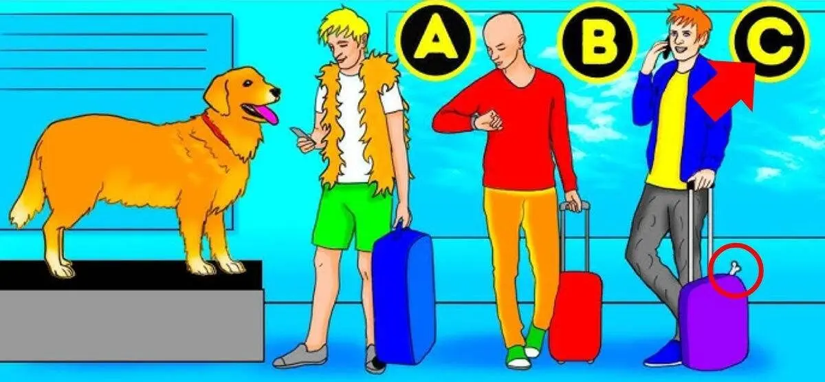 who-is-the-dog-owner-brain-teasers-with-answer