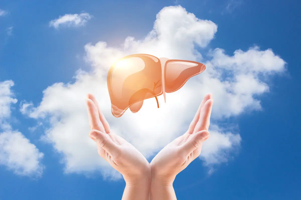 Healthy-Liver