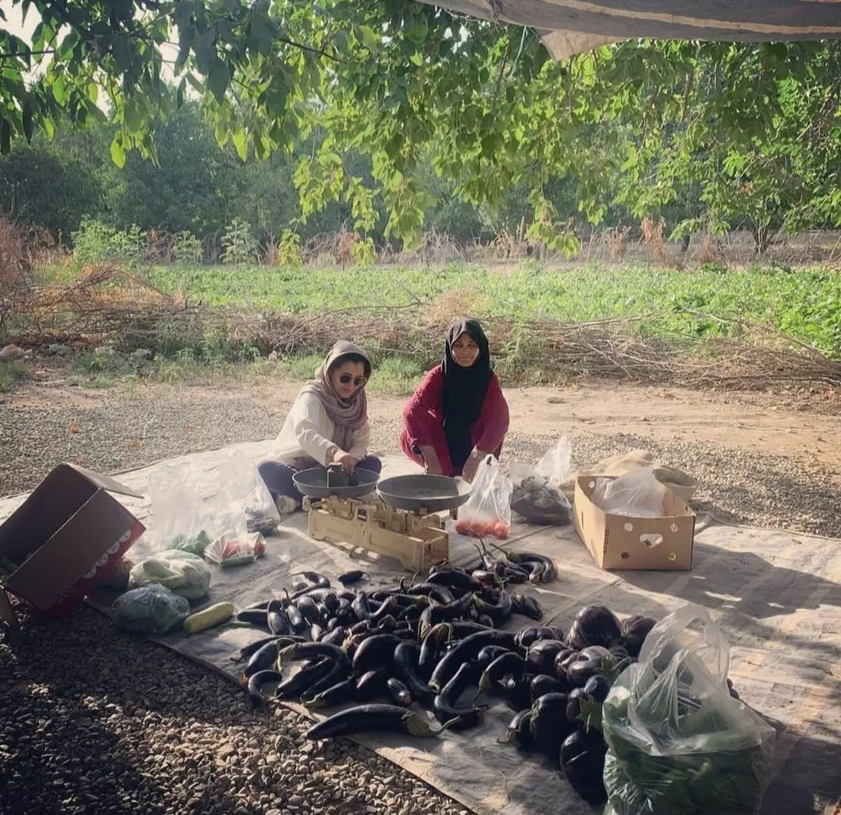 ساره بیات بازیگر