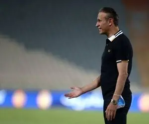 گل‌محمدی و فرصت ویژه برای خرید دو ستاره 