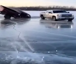 معماری طبیعت؛ خدا به اینا یه عقلی بده و به ما هم یه پولی