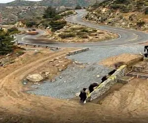 معماری خلاقانه؛ ویلا ساختن جاده به خاطر خیل جمعیت که میخوان بیان ببیننش اتوبان میشه