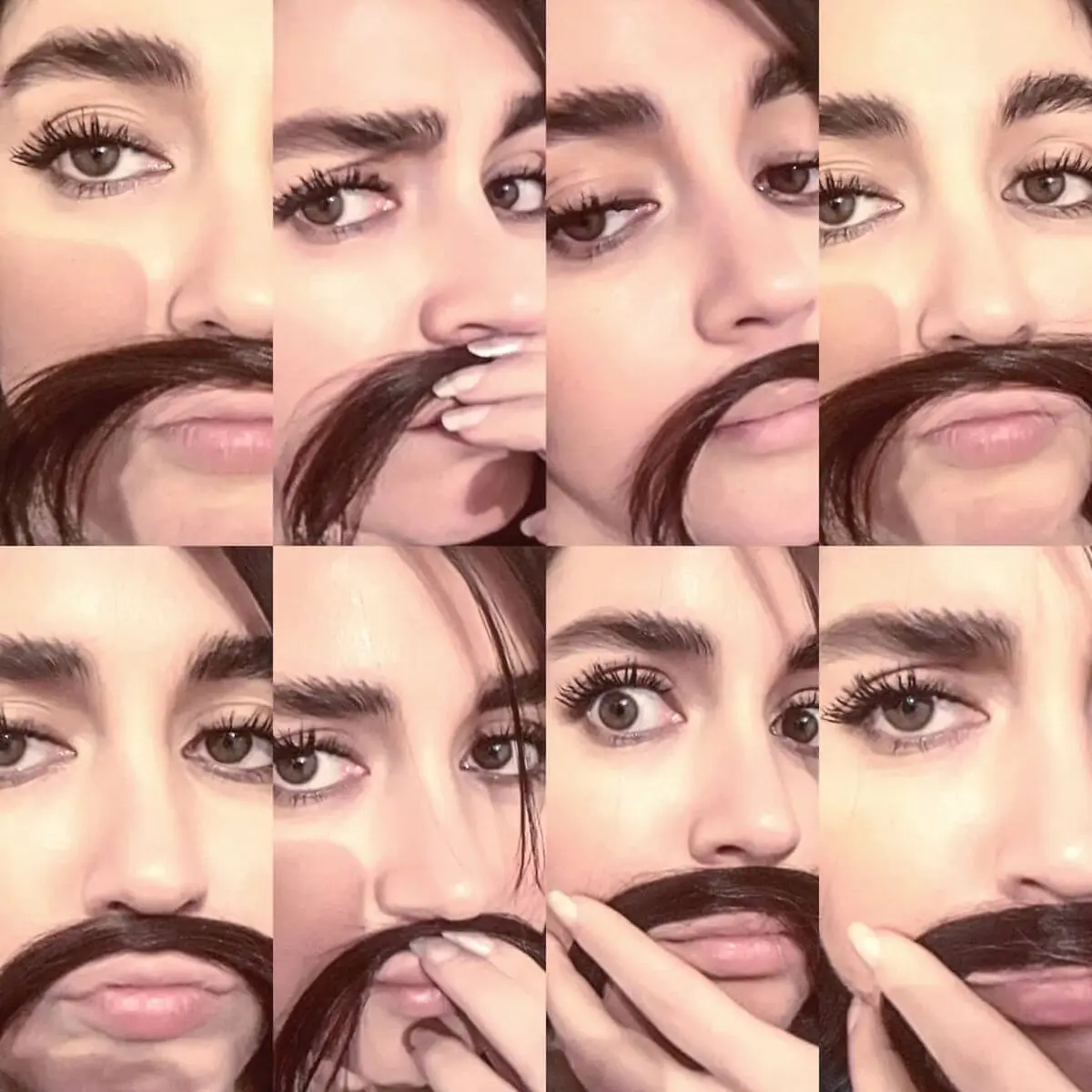 afsanehpakroo_47694223_1963752710361083_8186430853601033467_n