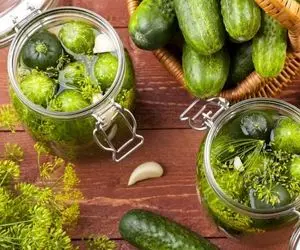 آشپزی حرفه ای؛ طرز تهیه خیارشور با نکته های طلایی که وقتی میخوریش خرچ خرچ صدا میده