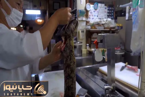 غذای دریایی