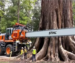 ابزارآلات غول پیکر؛ ابر ماشین چوب تراش درخت چند تُنی براش حکم چوب‌ کبریت داره