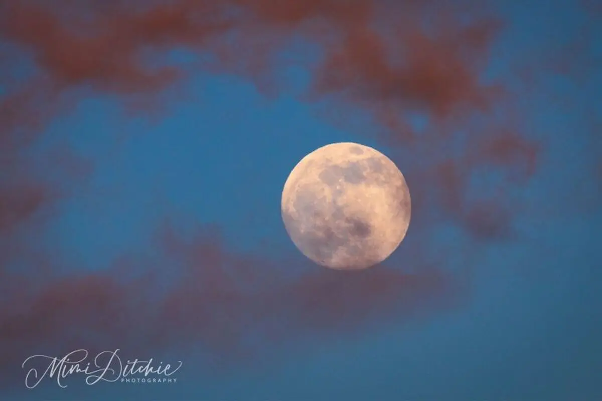 Full-Moon-California-Mimi-Ditchie-Dec-28-2020-e1609335874194