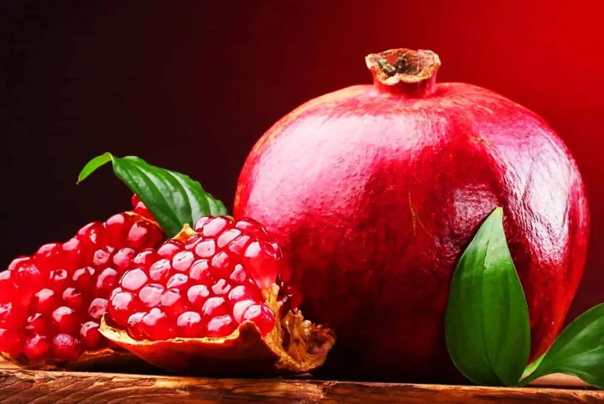 یلدا4
