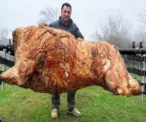 کباب گاو نر؛ سر گاو غول پیکر و با تبر زدن سیخ داغ و فرو کردن تو بدنش کبابی بشه