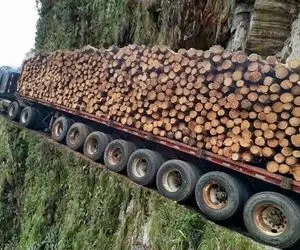 جا به جایی های جانکاه؛ کامیون رو تا خرخره بار زدن عین الاکلنگ جلوش بالاس پشتش رو زمین