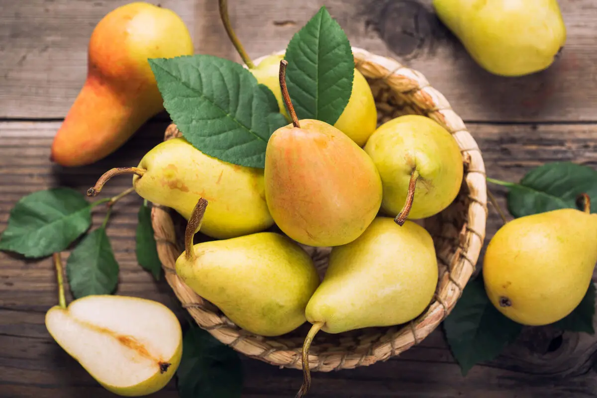 رفع یبوست با رژیم غذایی