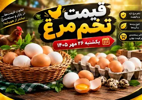 قیمت تخم‌ مرغ امروز یکشنبه 26 مهر 1405 / شانه تخم مرغ 30 عددی سیمرغ چقدر شد؟