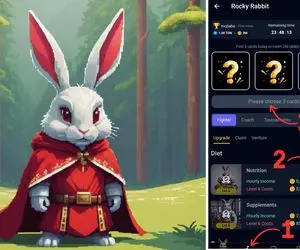 کارت های امروز راکی رابیت چهارشنبه ۳۱ مرداد به همراه پاسخ تصویری