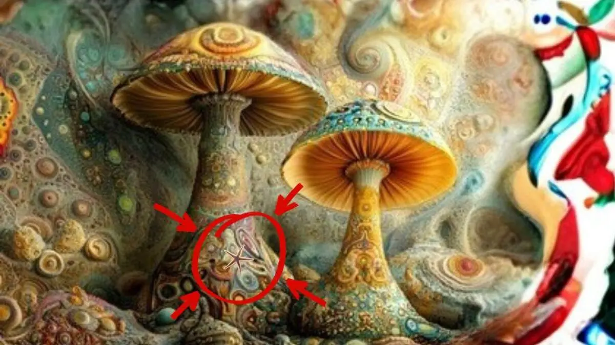 spot-the-hidden-star-fish-solution-1773163224735