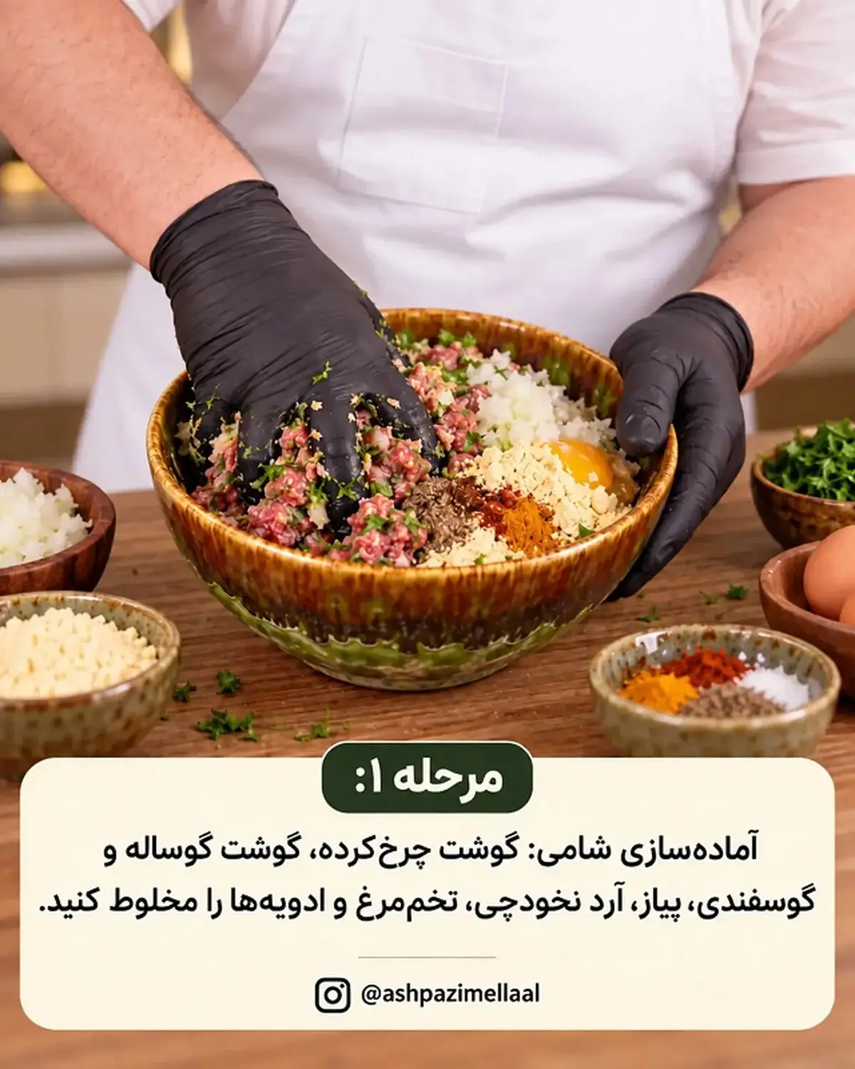 شامی ترش 1