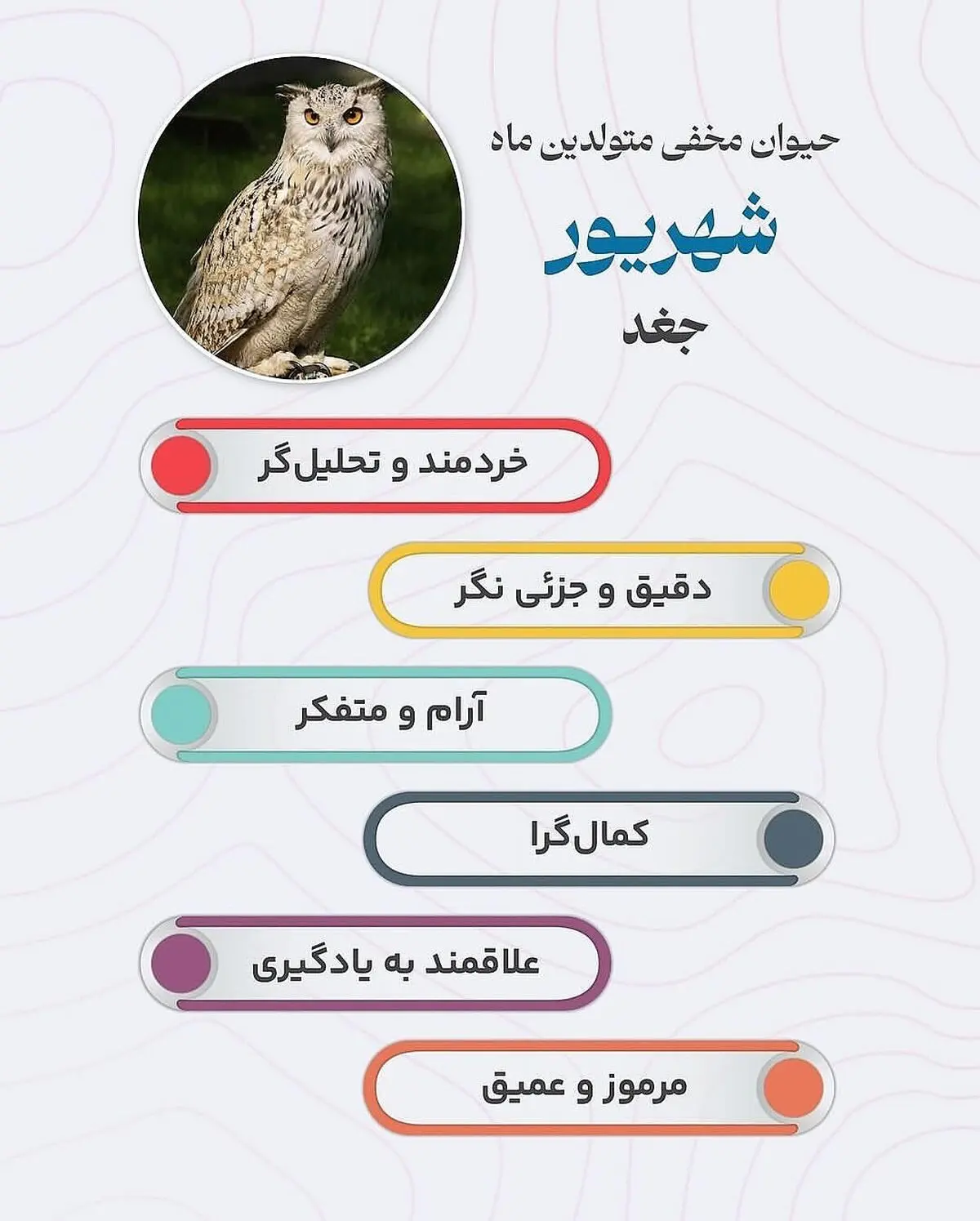 حیوان هر ماه