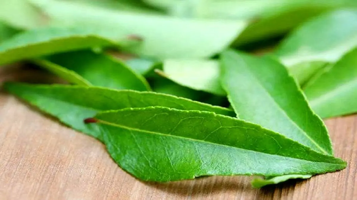 سفیدی4
