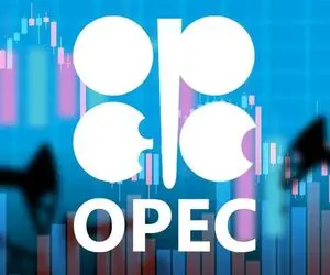 نشست اوپک پلاس به صورت آنلاین برگزار می شود