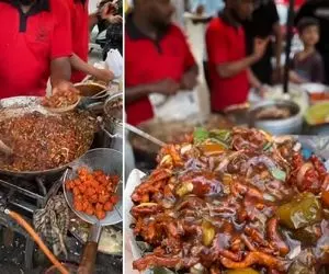 غذای خیابانی ؛ خدایی این دیگه چجور غذای بیریختیه کم مونده توش یکمم آب دهن بریزه!