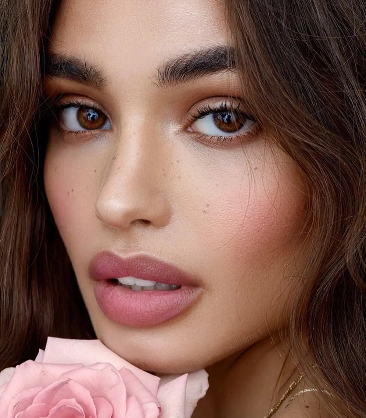 چگونه رژگونه بزنیم؟