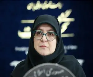 اولین واکنش دولت به موضوع دختر دانشگاه علوم تحقیقات / مهاجرانی: موضوع امنیتی نیست 