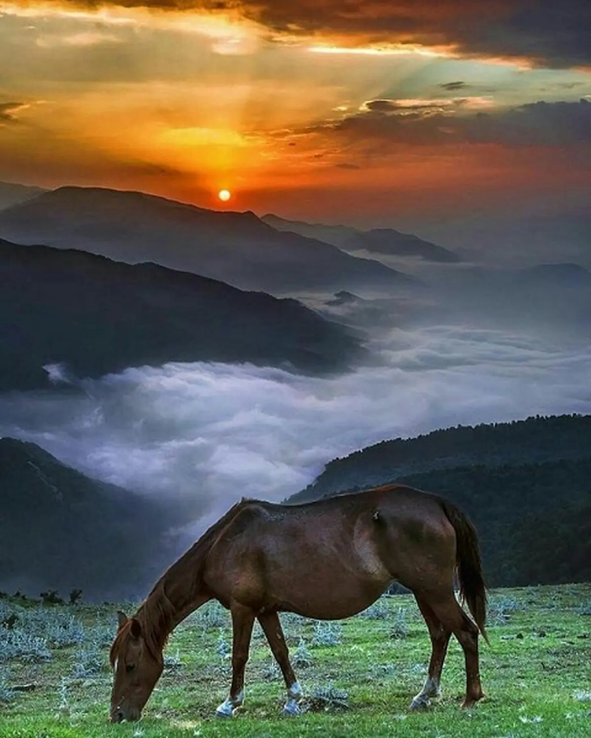 روستای فیلبند