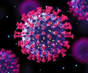 همه چیز راجع ویروس جدید کرونا ورمزارزها!