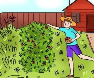 بازی فکری؛ هیچوقت آلزایمر نمیگیری اگه اشتباه باغ توت فرنگی رو بگی