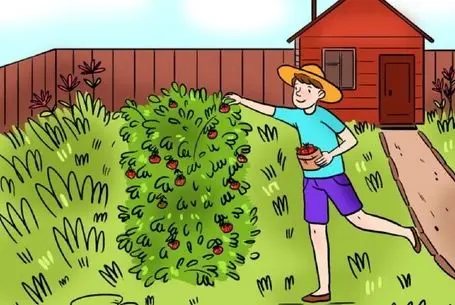 بازی فکری؛ هیچوقت آلزایمر نمیگیری اگه اشتباه باغ توت فرنگی رو بگی