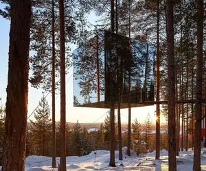 معماری خلاقانه؛ 10 خانه شگفت انگیز جنگلی از خانه تخم مرغی مدرن تا کلبه شیشه ای