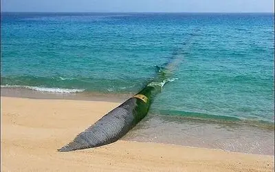 مطالعات انتقال آب از دریای عمان به تهران آغاز شده است