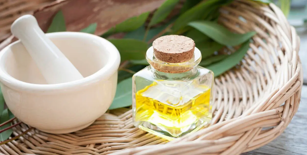 Benefits-Of-Eucalyptus-Oil-For-hair