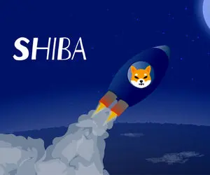 شایعاتی فوق العاده از شیبااینو!