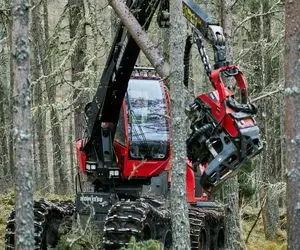 ماشین‌های غول پیکر؛ بیل مکانیکی و بولدوزر سترگ فرمونشون اندازه لاستیک کامیونه